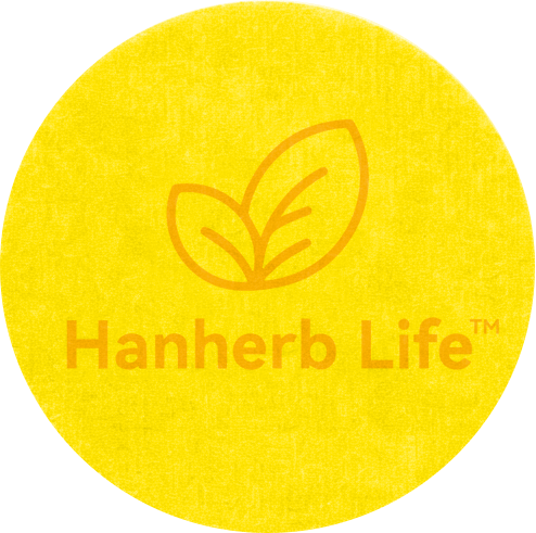 Energy Focus Transdermal Patch - Vitamin
B12 & Herbal Extracts for Daily Lifestyle (30
Count)